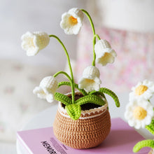 DIY Crochet Flower Potted Plant Kit for Beginners - Complete Crochet Kit with Step-by-Step Video Tutorials, Everlasting Flower Home Decor & Creative Gift