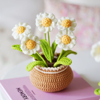 DIY Crochet Flower Potted Plant Kit for Beginners - Complete Crochet Kit with Step-by-Step Video Tutorials, Everlasting Flower Home Decor & Creative Gift