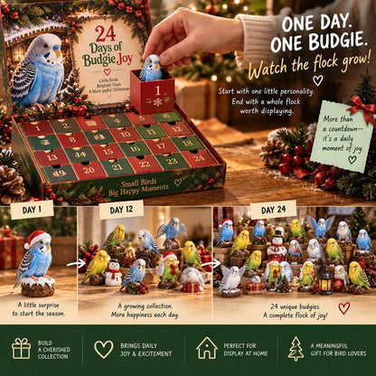 24 Days of Budgie Bliss – 24 small birds, 24 big personalities