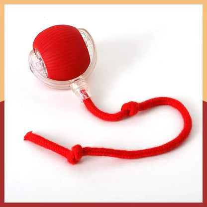 Smart Interactive Pet Ball - Motion-Activated Self-Moving Toy for Cats & Dogs, Quiet & Automatic Boredom Buster