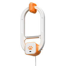 Electric Cat Teaser with Remote