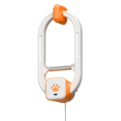 Electric Cat Teaser with Remote