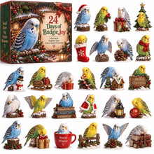 24 Days of Budgie Bliss – 24 small birds, 24 big personalities