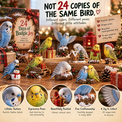24 Days of Budgie Bliss – 24 small birds, 24 big personalities